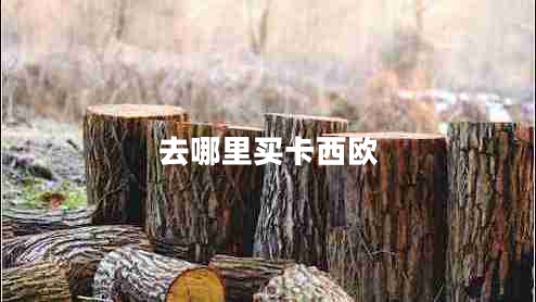 去哪里買卡西歐 去哪里買卡西歐