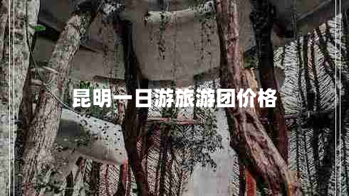 昆明一日游旅游團(tuán)價(jià)格