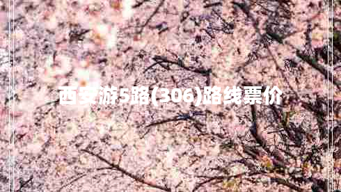 西安游5路(306)路線票價(jià)
