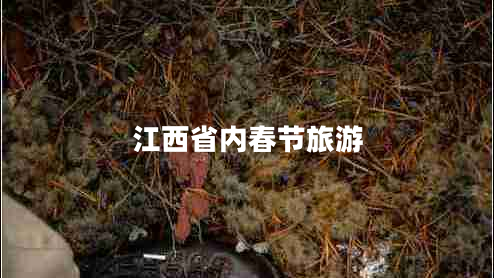 江西省內(nèi)春節(jié)旅游