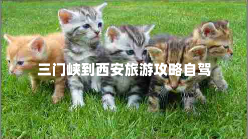 三門峽到西安旅游攻略自駕