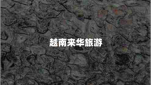 越南來(lái)華旅游