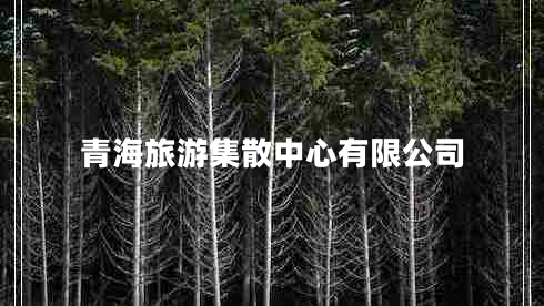青海旅游集散中心有限公司