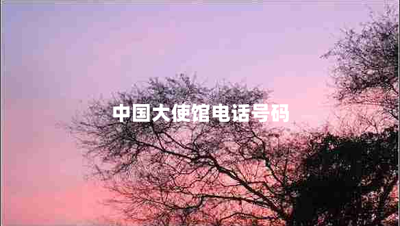 中國大使館電話號(hào)碼