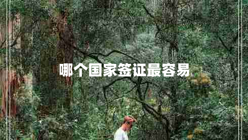 哪個國家簽證最容易