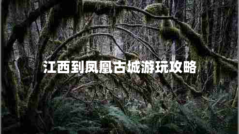 江西到鳳凰古城游玩攻略