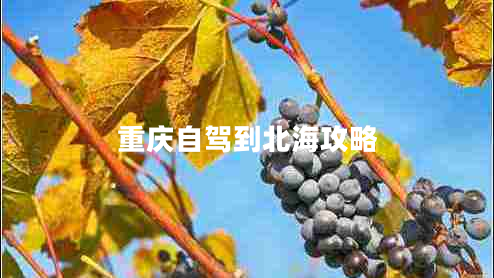 重慶自駕到北海攻略