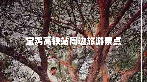 寶雞高鐵站周邊旅游景點(diǎn)