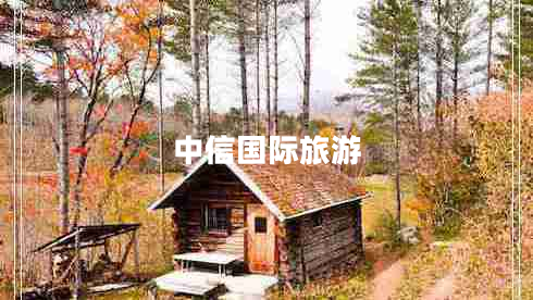 中信國際旅游
