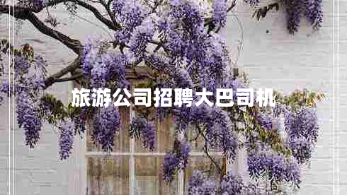 旅游公司招聘大巴司機(jī)