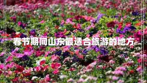 春節(jié)期間山東最適合旅游的地方