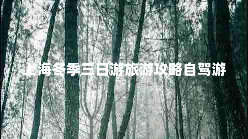 上海冬季三日游旅游攻略自駕游
