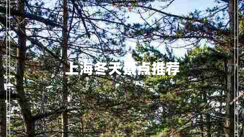 上海冬天景點(diǎn)推薦 上海冬天景點(diǎn)推薦