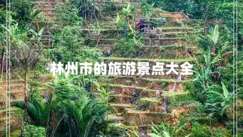 林州市的旅游景點(diǎn)大全