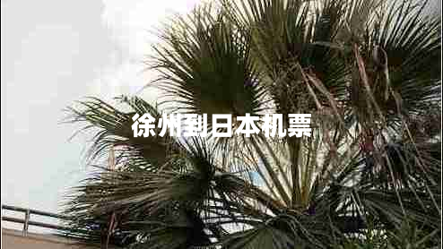 徐州到日本機(jī)票