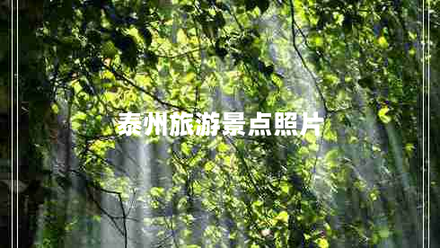 泰州旅游景點照片