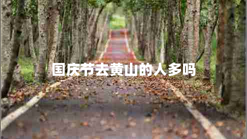 國慶節(jié)去黃山的人多嗎