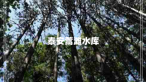 泰安蒿灘水庫(kù)