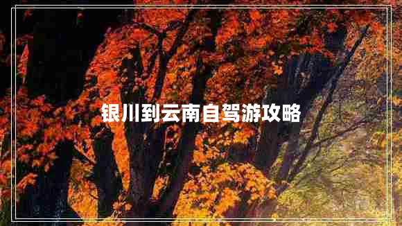 銀川到云南自駕游攻略