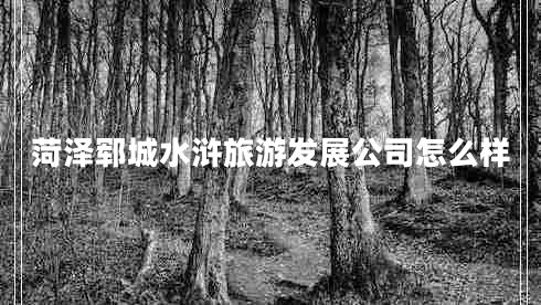 菏澤鄆城水滸旅游發(fā)展公司怎么樣