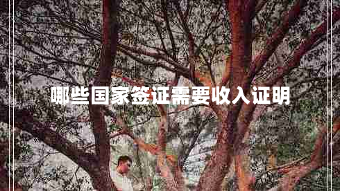 哪些國(guó)家簽證需要收入證明