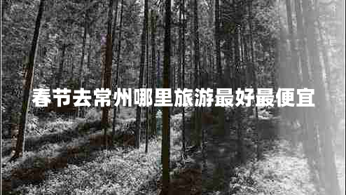 春節(jié)去常州哪里旅游最好最便宜