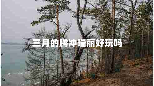 三月的騰沖瑞麗好玩嗎