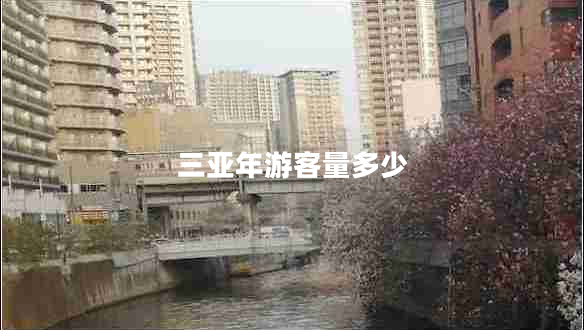 三亞年游客量多少 三亞年游客量多少