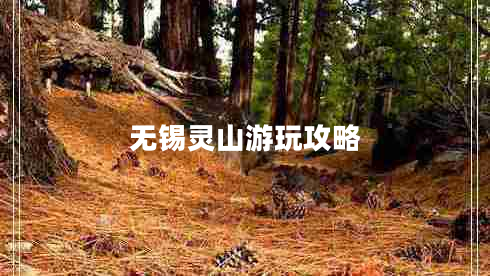 無錫靈山游玩攻略