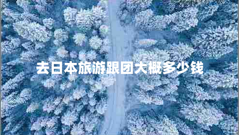 去日本旅游跟團大概多少錢