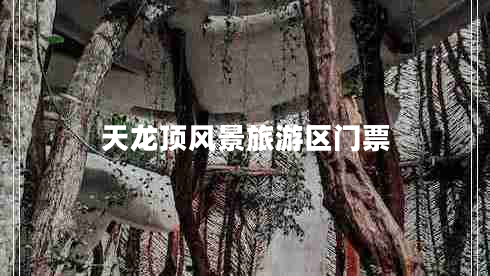 天龍頂風(fēng)景旅游區(qū)門票 天龍頂風(fēng)景旅游區(qū)門票