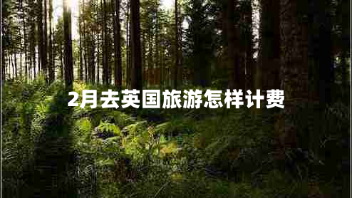 2月去英國旅游怎樣計費 2月去英國旅游怎樣計費