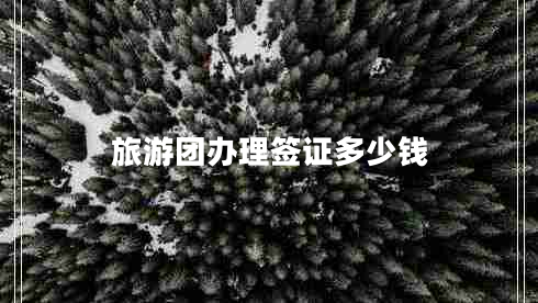 旅游團(tuán)辦理簽證多少錢 旅游團(tuán)辦理簽證多少錢