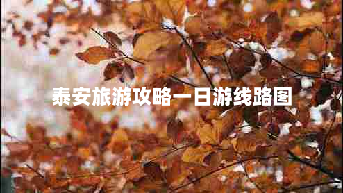 泰安旅游攻略一日游線路圖