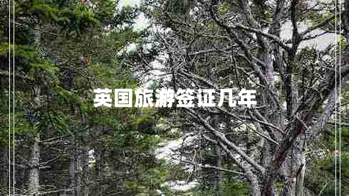 英國旅游簽證幾年