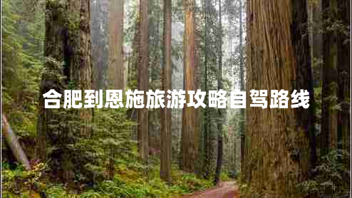 合肥到恩施旅游攻略自駕路線