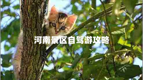 河南景區(qū)自駕游攻略