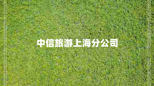中信旅游上海分公司