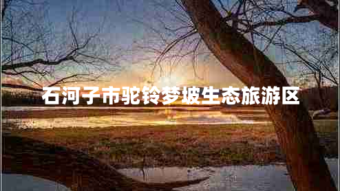 石河子市駝鈴夢坡生態(tài)旅游區(qū)