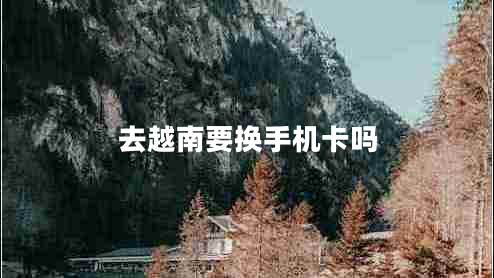 去越南要換手機卡嗎 去越南要換手機卡嗎