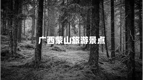 廣西蒙山旅游景點