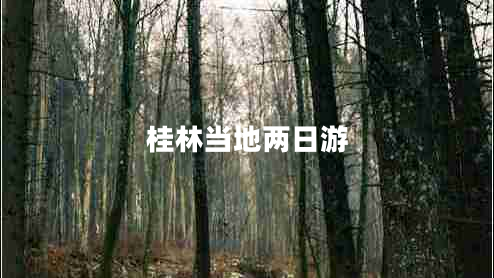 桂林當?shù)貎扇沼? title=