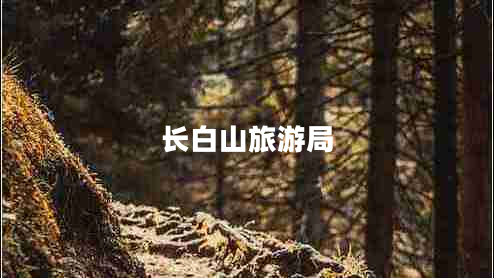 長(zhǎng)白山旅游局