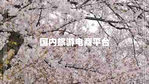 國內(nèi)旅游電商平臺