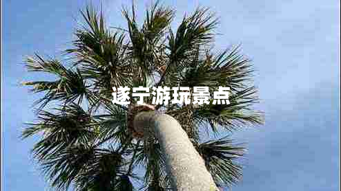 遂寧游玩景點(diǎn) 遂寧游玩景點(diǎn)