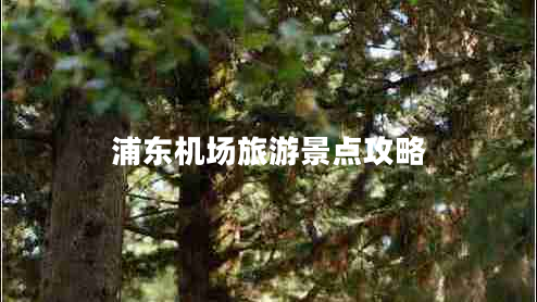 浦東機(jī)場(chǎng)旅游景點(diǎn)攻略