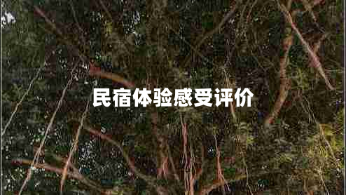 民宿體驗感受評價 民宿體驗感受評價