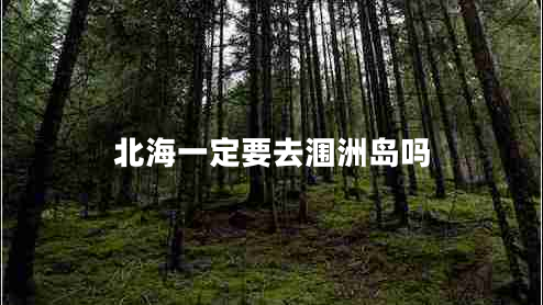 北海一定要去潿洲島嗎