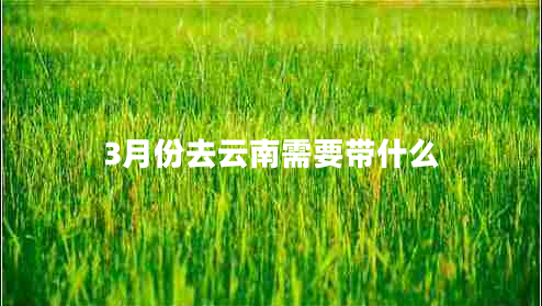 3月份去云南需要帶什么