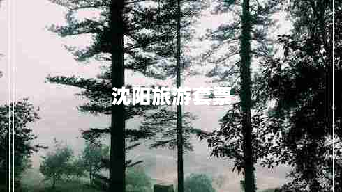 沈陽旅游套票 沈陽旅游套票